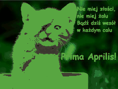 Kotek z życzeniami na Prima Aprilis